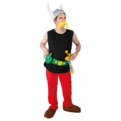 Asterix Kostume
