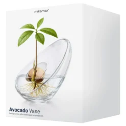 Avocadovase i Glas