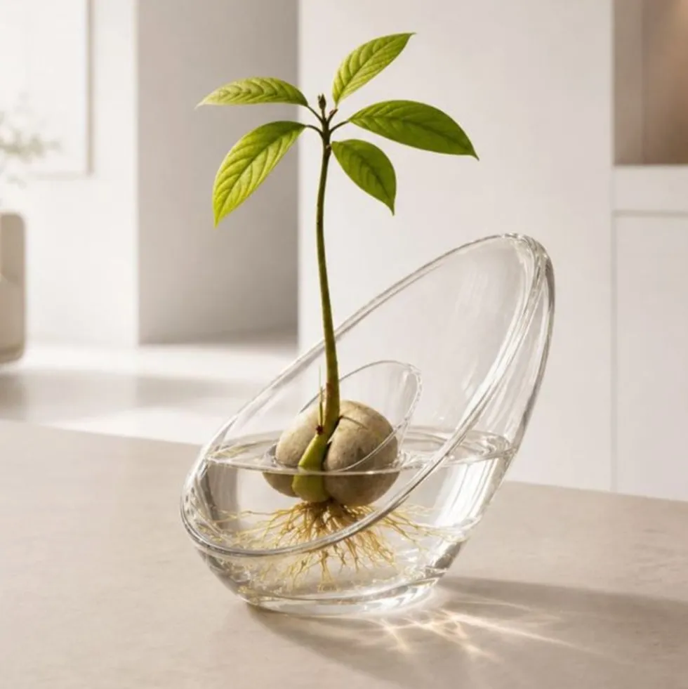 Avocadovase i Glas