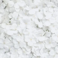 Backdrop Hortensia Hvid