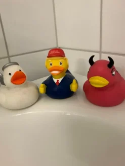 Badeand Amerikansk Præsident