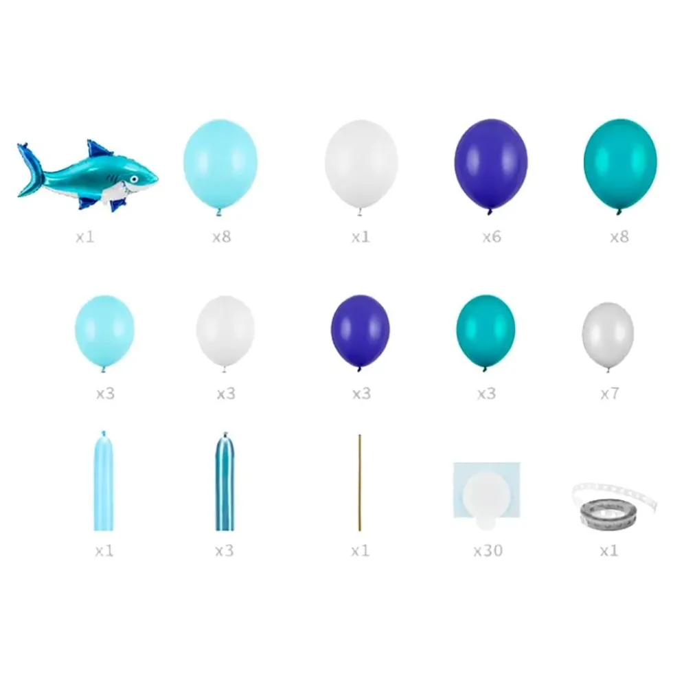 Ballonbue Hav/Haj