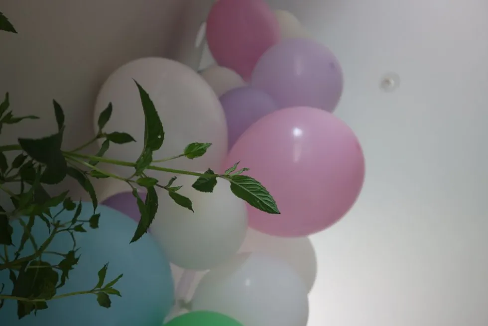 Balloner Pastel Flerfarvede