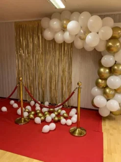 Balloner Professional Guld Chrome