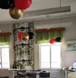 Balloner Professionel Sort