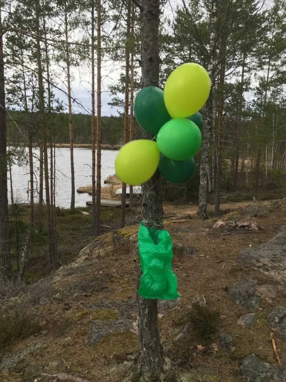 Ballonkombi Grøn-Limegrøn-Mørkegrøn