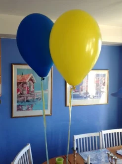 Ballonsnor Gul