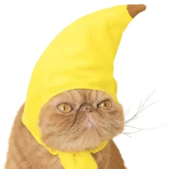 Bananhat til Katte