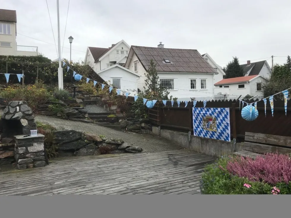 Bayersk Flag