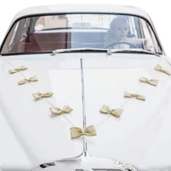 Bilpynt Bryllup Kit