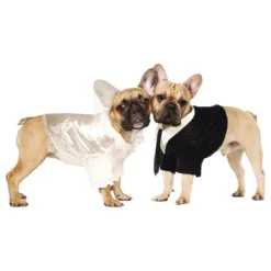 Brudgom Kostume til Hund