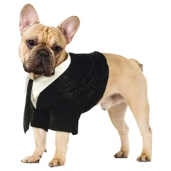 Brudgom Kostume til Hund