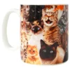 Crazy Cat Lady Krus