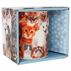 Crazy Cat Lady Krus