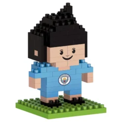 3D Byggesæt Manchester City