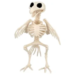 Dyreskelet Fugl Dekoration
