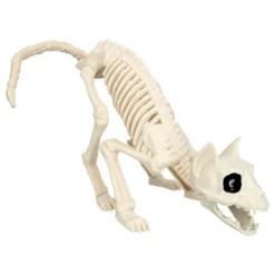 Dyreskelet Kat Prop