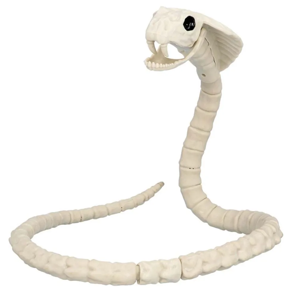 Dyreskelet Slange Prop