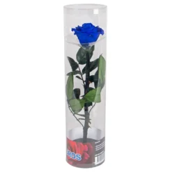 Evighedsrose