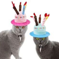 Fødselsdagshat til Kat