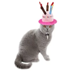 Fødselsdagshat til Kat