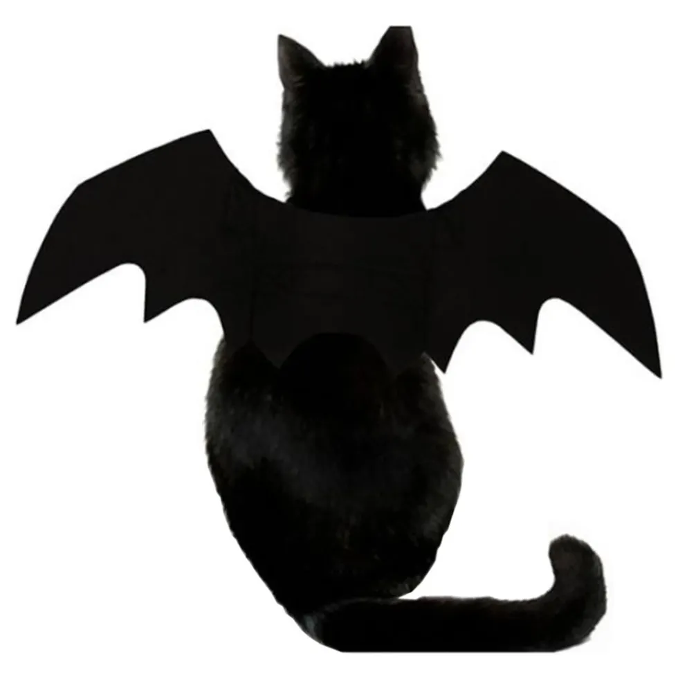 Flagemusevinger til Kat