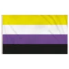 Flag Nonbinary Pride