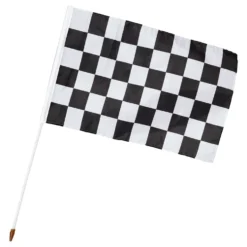 Flag Skakternet
