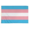 Flag Transgender