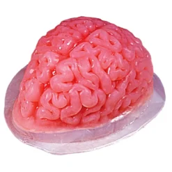 Geléform Hjerne