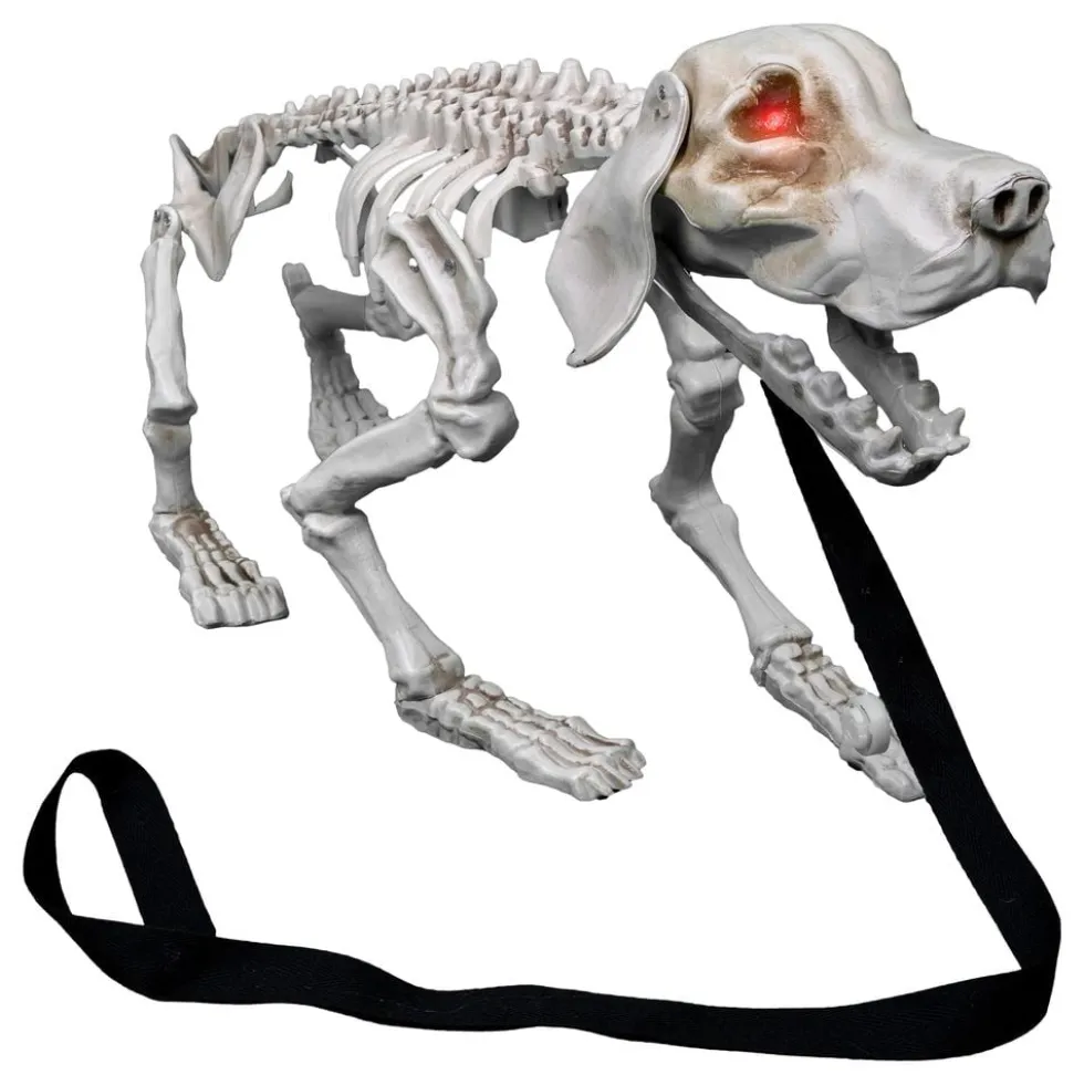 Gøende Hundeskelet Prop
