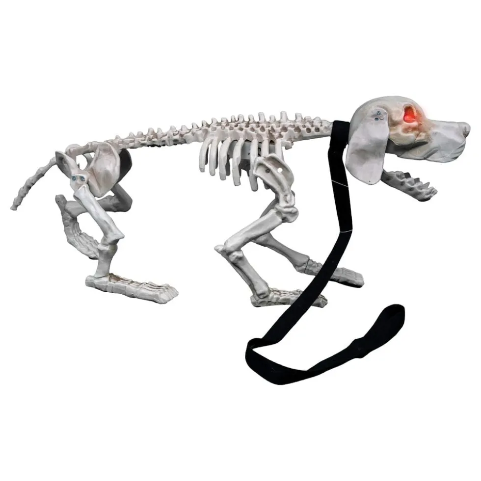 Gøende Hundeskelet Prop