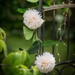 Guirlande Dahlia Ivory