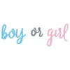 Guirlande Gender Reveal Boy or Girl