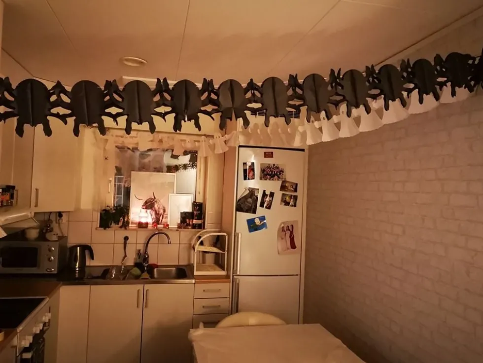 Halloween Partykit