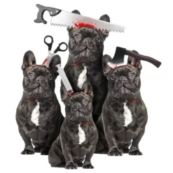 Halloween Props til Hunde