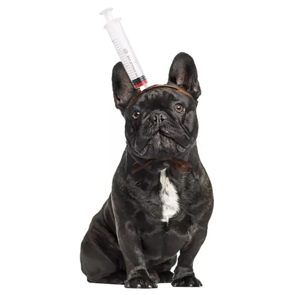 Halloween Props til Hunde