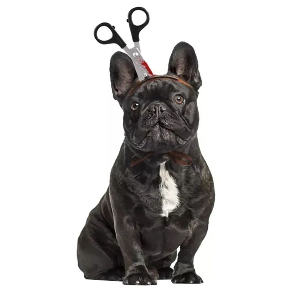 Halloween Props til Hunde