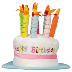 Happy Birthday Hat