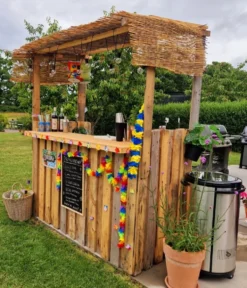 Hawaiiblomster til Dekoration