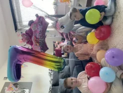 Hi-Shine Ballonglans