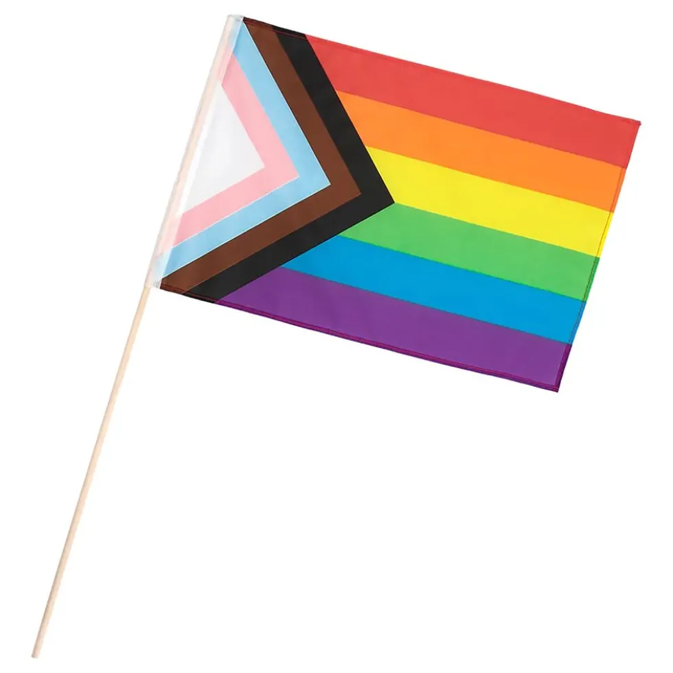 Håndflag i Polyester Pride Progress