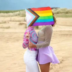 Håndflag i Polyester Pride Progress