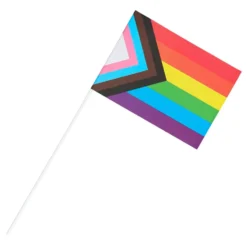 Håndflag Pride Progress