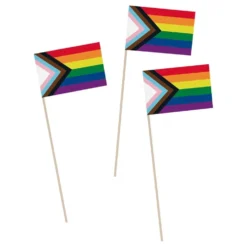 Håndflag Progress Pride