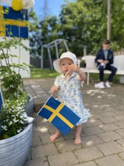 Håndflag Sverige