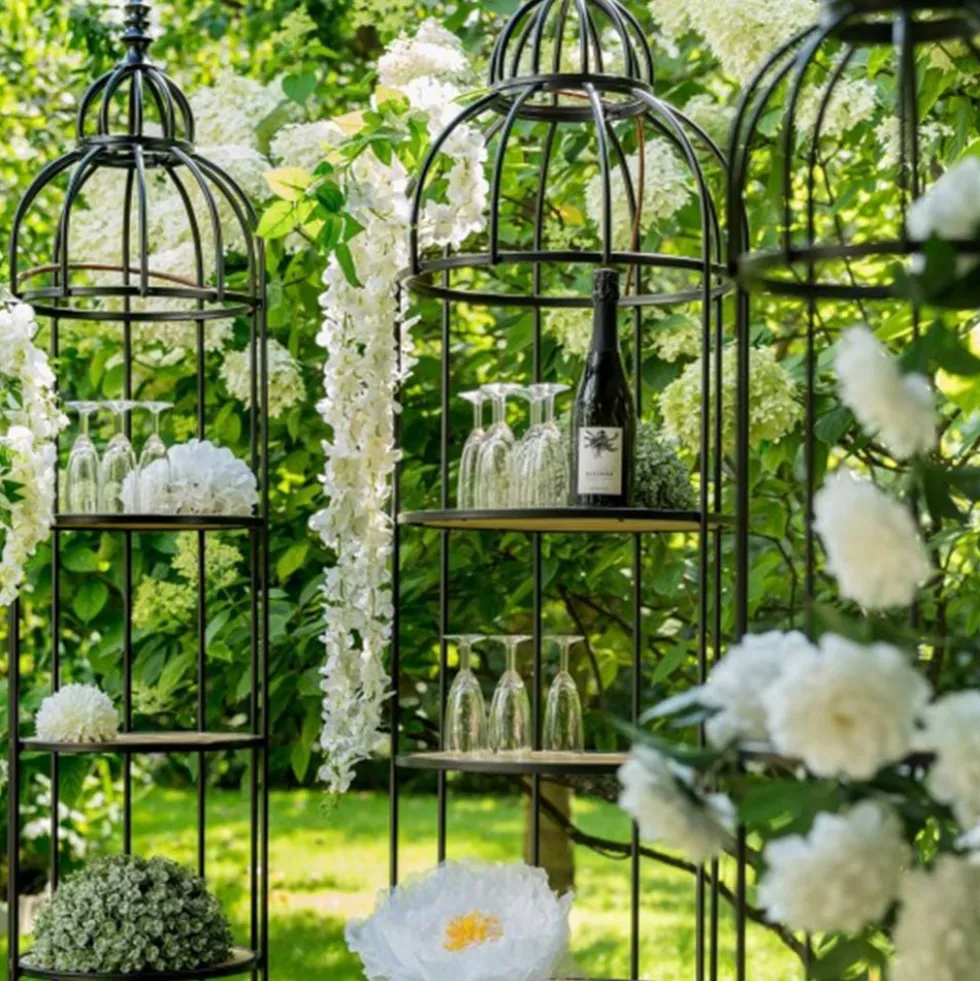 Hængende Gren Hortensia Hvid