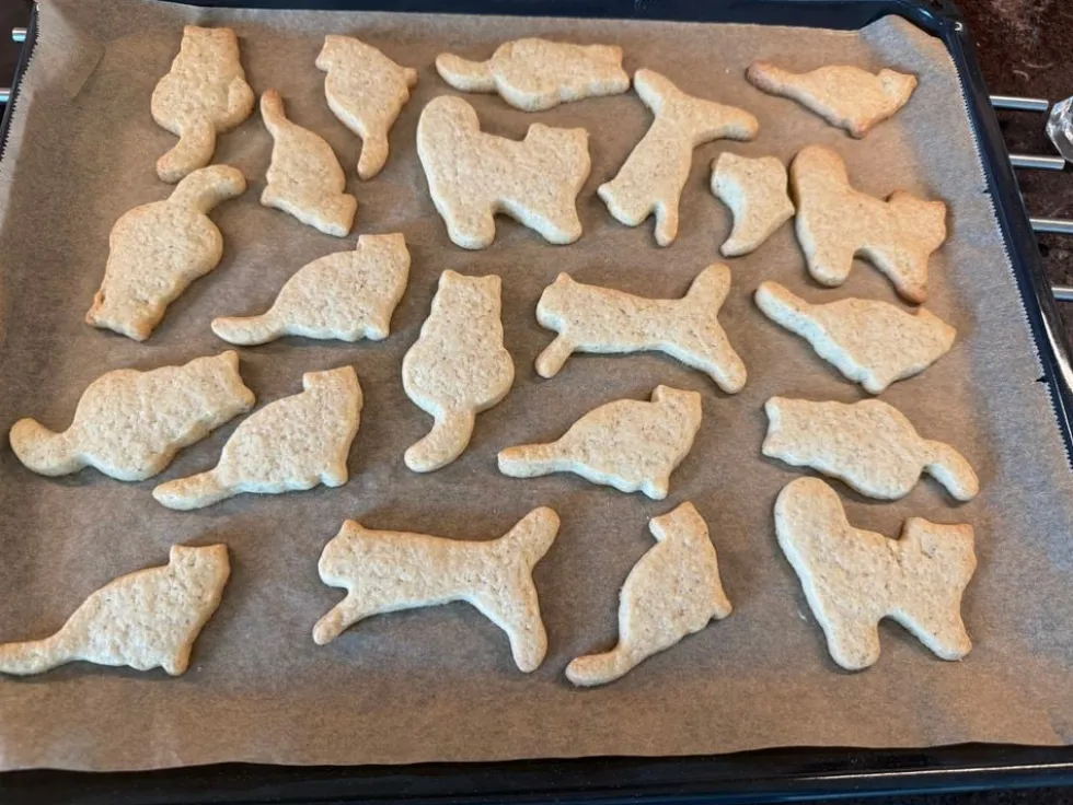 Kageudstikker Katte