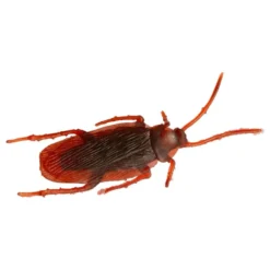 Kakerlakker i Plastik
