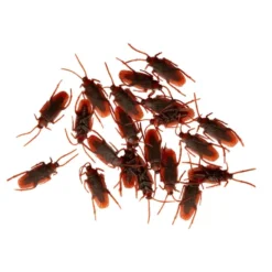 Kakerlakker i Plastik